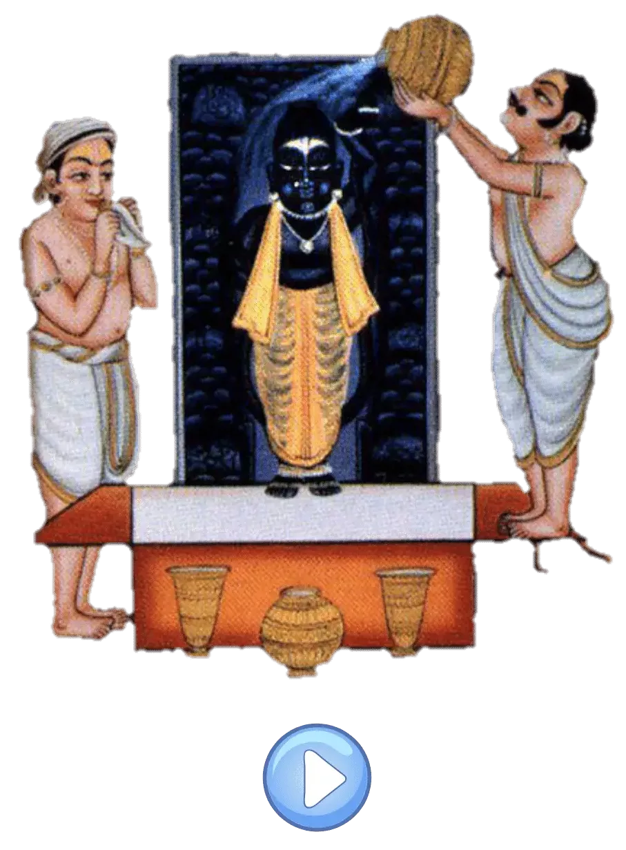 ઝાંખી : વિડીયો 