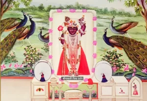 Kasumba Chath pushtimarg Shrinathji darshan , Kashumba Chhath Pushtimarg Shreenathji Darshan utsav